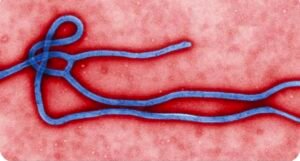 उत्तराखंड में Ebola Virus को लेकर अलर्ट, स्वास्थ्य विभाग ने जारी की एडवाइजरी